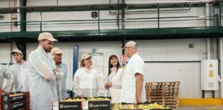 La pera de Jumilla encuentra respaldo en el gobierno regional para potenciar su Denominación de Origen Protegida