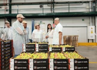 La pera de Jumilla encuentra respaldo en el gobierno regional para potenciar su Denominación de Origen Protegida