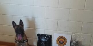 La perra Kata vuelve a detectar alijos de droga en la estación de autobuses de Alicante