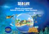 Una colaboración pionera en España, entre el mundo submarino de SEA LIFE Benalmádena y el universo de Animal Crossing: New Horizons de Nintendo