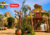 El área de Donkey Kong Country en Universal Studios Japan abrirá sus puertas el 11 de diciembre de 2024