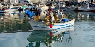 El gobierno murciano destina 342.000 euros para compensar el descenso de capturas de los pescadores de la Cofradía de San Pedro del Pinatar