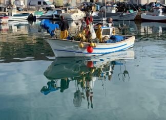 El gobierno murciano destina 342.000 euros para compensar el descenso de capturas de los pescadores de la Cofradía de San Pedro del Pinatar