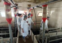 El Gobierno regional de Murcia incrementa en 2025 las ayudas para preservar y fomentar las razas ganaderas autóctonas