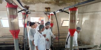 El Gobierno regional de Murcia incrementa en 2025 las ayudas para preservar y fomentar las razas ganaderas autóctonas