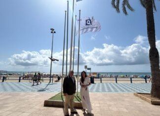 La bandera Q de Calidad Turística ya ondea en la playa alicantina del Postiguet