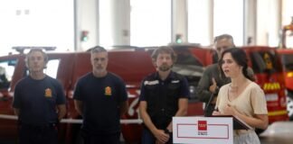 Díaz Ayuso anuncia que la Comunidad de Madrid aprobará ayudas especiales para paliar los efectos de los incendios en la región