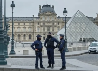 ¡GOLPE MAESTRO AL PATRIMONIO FRANCÉS! DOS LADRONES DEL SIGLO DETENIDOS EN CALIENTE: ¿EL FIN DEL ROBO DEL LOUVRE O EL COMIENZO DE UNA RED GLOBAL DE CONTRABANDO?