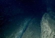 ¡La Tierra se Despedaza en Vivo! Científicos Capturan el «Accidente Fatal» de una Placa Tectónica en el Pacífico