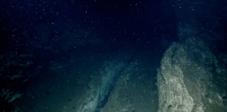 ¡La Tierra se Despedaza en Vivo! Científicos Capturan el «Accidente Fatal» de una Placa Tectónica en el Pacífico