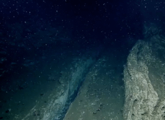 ¡La Tierra se Despedaza en Vivo! Científicos Capturan el «Accidente Fatal» de una Placa Tectónica en el Pacífico