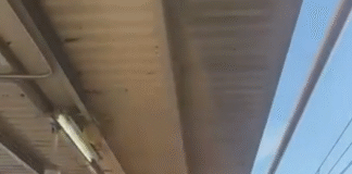 CAOS EN CERCANÍAS MADRID: DESCARRILAMIENTO, MUERTE Y RETRASOS MASIVOS PARALIZAN LA RED