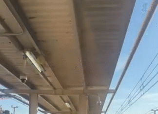 CAOS EN CERCANÍAS MADRID: DESCARRILAMIENTO, MUERTE Y RETRASOS MASIVOS PARALIZAN LA RED