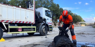Prueba piloto en Elche retiene más de 8.000 toallitas y media tonelada de residuos en el río Vinalopó