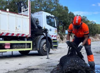 Prueba piloto en Elche retiene más de 8.000 toallitas y media tonelada de residuos en el río Vinalopó