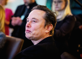 ¡ELON MUSK LO SUELTA TODO: «TRABAJAR SERÁ OPCIONAL COMO CULTIVAR TUS PROPIOS TOMATES» – ¿ADIÓS AL CURRO GRACIAS A OPTIMUS?