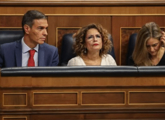 Fondos exigen embargar activos de SEPI, Renfe y Paradores para cobrar 1.754 millones por las primas renovables