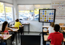 La UE obliga a renovar el carné de conducir cada 10 años: más exámenes, tasas caras y vigilancia digital en el horizonte