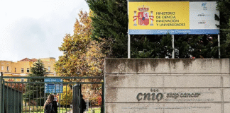 Alto cargo del CNIO denuncia el desvío de 25 millones de euros en contratos públicos contra el cáncer durante 18 años