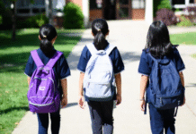 La OCDE rebaja el crecimiento de España al 1,9% en 2025 y alerta de «incertidumbre elevada» por la política fiscal