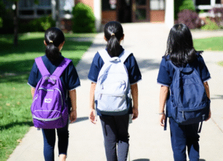 La OCDE rebaja el crecimiento de España al 1,9% en 2025 y alerta de «incertidumbre elevada» por la política fiscal