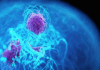 El cáncer de páncreas: el tumor más letal de España que ataca a jóvenes y deja solo un 8% de supervivientes a cinco años