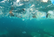 ¡SOS! ¡MICROPLÁSTICOS: LA AMENAZA INVISIBLE QUE DURA SIGLOS! Solo 10% flota, pero TODOS contaminan