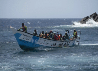 ¡Tragedia en las Aguas de El Hierro: Cuatro Muertos en un Cayuco con Más de 100 Migrantes que Agotó Víveres a Solo 30 km de la Isla – ¡Rescate Heroico Deja a Supervivientes en Estado Crítico!