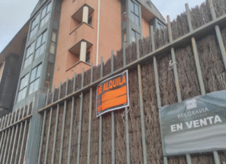 ¡VIVIENDA EN LLAMAS! ¿Prohibir comprar para alquilar en España? El experimento holandés avisa: alquileres +4%, jóvenes fuera y barrios para ricos – ¿Otro parche que nos hunde?