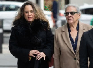 El juez Pedraz destapa lujos obscenos en las sociedades de Carmen Pano y su hija: 50.000€ en safari africano, 86.000€ en yeguada y el chalet de Ábalos – ¿De dónde sale el dinero del fraude de 231M€?