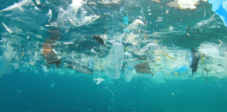 ¡SOS! ¡MICROPLÁSTICOS: LA AMENAZA INVISIBLE QUE DURA SIGLOS! Solo 10% flota, pero TODOS contaminan