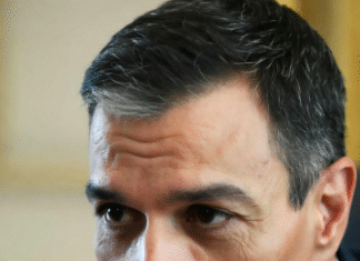 El Supremo remite a la Audiencia Nacional la investigación sobre pagos en metálico del PSOE a Ábalos y Koldo García por posibles indicios de blanqueo