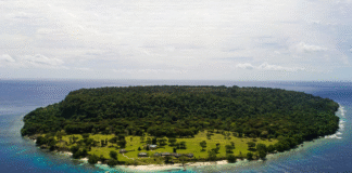 50.000 inversores pierden 120.000€ por parcela en la Isla Satoshi: ruina económica y amenaza de desaparición por el cambio climático