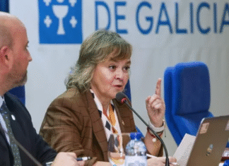 España enfrenta un «problema de delincuencia organizada» en el narcotráfico: la fiscal jefa antidroga exige reformas urgentes