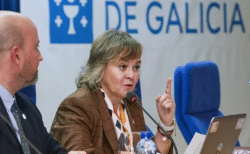 España enfrenta un «problema de delincuencia organizada» en el narcotráfico: la fiscal jefa antidroga exige reformas urgentes