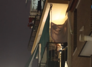 ¡Tragedia en Alicante: Mujer de 29 Años Asesinada a Puñaladas en un Presunto Caso de Violencia Machista – Su Pareja, el Sospechoso, Se Suicida Ahorcándose!