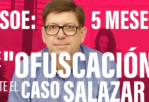 ¡Crisis Interna en el PSOE: Se Resiste a la Vía Judicial en el Caso Salazar Mientras el Malestar Feminista Explota – ¡»Cinco Meses de Silencio» que Amenazan con Hundir el Voto de las Mujeres!