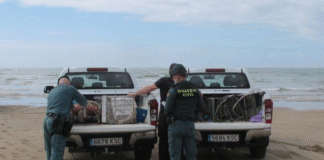 ¡Horror en la Playa de Garrucha: Autopsia Revela Violencia Física y Sexual en el Cuerpo del Niño de 4 Años Hallado Muerto – ¡Madre Embarazada y su Pareja, Detenidos en un Caso que Clama al Cielo!