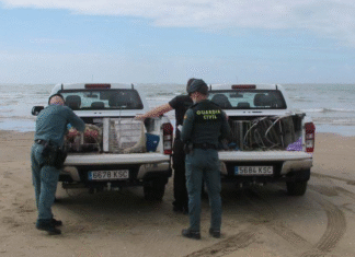 ¡Horror en la Playa de Garrucha: Autopsia Revela Violencia Física y Sexual en el Cuerpo del Niño de 4 Años Hallado Muerto – ¡Madre Embarazada y su Pareja, Detenidos en un Caso que Clama al Cielo!