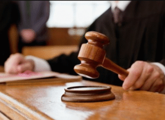 ¡Pescando en Baja: Vendedor Despedido Tras 12 Años por Fingir Dolor – ¡Justicia Avala el Despido como «Procedente» y Envía un Mensaje Brutal a los Simuladores!