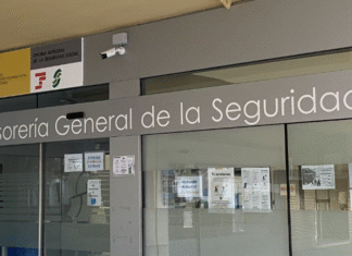 ¡Alerta en las Pensiones No Contributivas: Seguridad Social Suspenderá Pagos en 2026 si No Presentas Declaración Anual de Ingresos – ¡Obligación Trimestral que Afecta a Miles de Vulnerables!