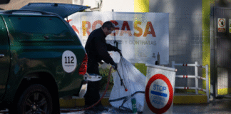 ¡Alarma en los Laboratorios Catalanes: Experimentos con Peste Porcina Africana en Bellaterra Justo Cuando Aparece el Primer Jabalí Infectado a Cientos de Metros – ¡¿Fuga o Coincidencia Fatal?!