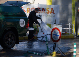 ¡Alarma en los Laboratorios Catalanes: Experimentos con Peste Porcina Africana en Bellaterra Justo Cuando Aparece el Primer Jabalí Infectado a Cientos de Metros – ¡¿Fuga o Coincidencia Fatal?!