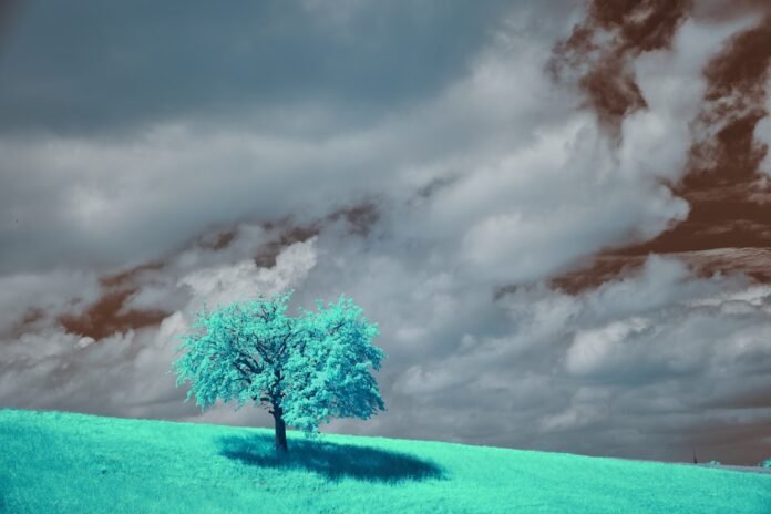 A teal tree stands alone beneath moody skies.
