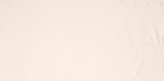 El legado silencioso de Manolín Bueno: cuando ser suplente también construye historia A white sheet with a black cat sitting on top of it