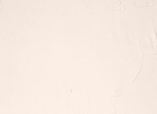 El legado silencioso de Manolín Bueno: cuando ser suplente también construye historia A white sheet with a black cat sitting on top of it