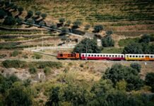 Huelga ferroviaria en Cataluña: El transporte público se paraliza por demandas de seguridad laboral A train traveling through a lush green countryside