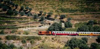 Huelga ferroviaria en Cataluña: El transporte público se paraliza por demandas de seguridad laboral A train traveling through a lush green countryside
