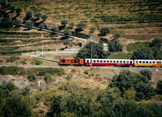 Huelga ferroviaria en Cataluña: El transporte público se paraliza por demandas de seguridad laboral A train traveling through a lush green countryside