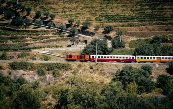 A train traveling through a lush green countryside